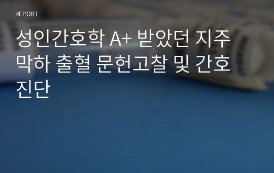 성인간호학 A+ 받았던 지주막하 출혈 문헌고찰 및 간호진단