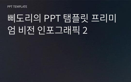 삐도리의 PPT 탬플릿 프리미엄 비전 인포그래픽 2