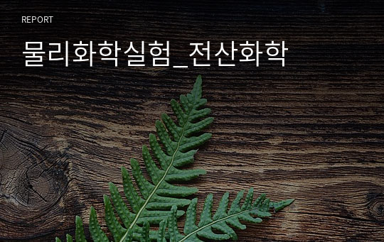 물리화학실험_전산화학