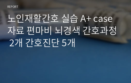 노인재활간호 실습 A+ case자료 편마비 뇌경색 간호과정 2개 간호진단 5개