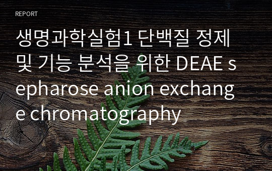 생명과학실험1 단백질 정제 및 기능 분석을 위한 DEAE sepharose anion exchange chromatography