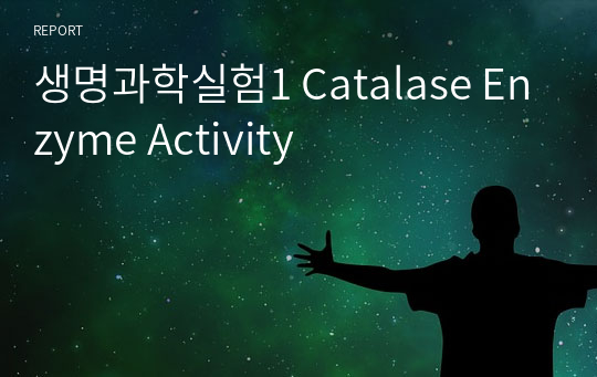 생명과학실험1 Catalase Enzyme Activity