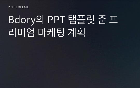 Bdory의 PPT 탬플릿 준 프리미엄 마케팅 계획