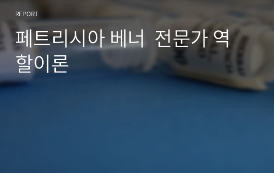 페트리시아 베너  전문가 역할이론