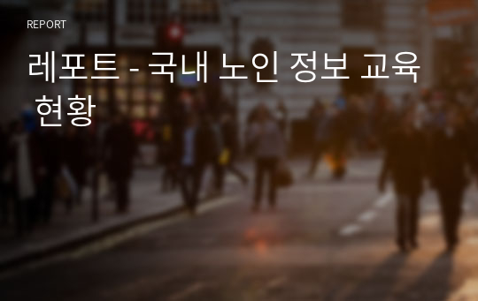 레포트 - 국내 노인 정보 교육 현황