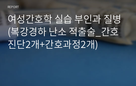 여성간호학 실습 부인과 질병(복강경하 난소 적출술_간호진단2개+간호과정2개)