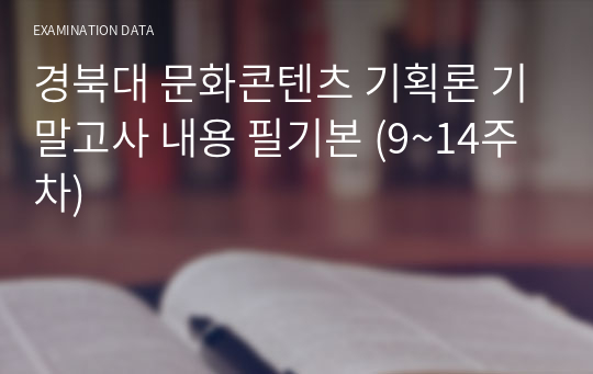 경북대 문화콘텐츠 기획론 기말고사 내용 필기본 (9~14주차)