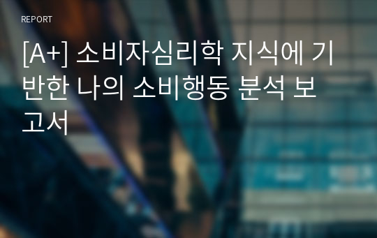 [A+] 소비자심리학 지식에 기반한 나의 소비행동 분석 보고서