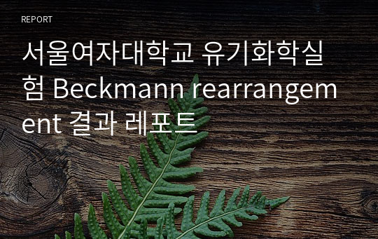 서울여자대학교 유기화학실험 Beckmann rearrangement 결과 레포트