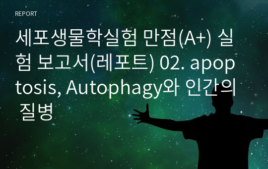 세포생물학실험 만점(A+) 실험 보고서(레포트) 02. apoptosis, Autophagy와 인간의 질병