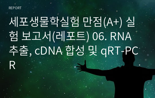 세포생물학실험 만점(A+) 실험 보고서(레포트) 06. RNA 추출, cDNA 합성 및 qRT-PCR