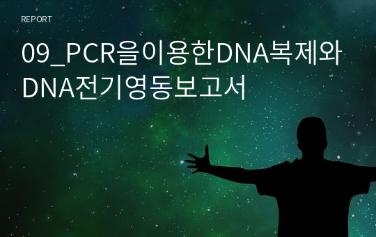 09_PCR을이용한DNA복제와DNA전기영동보고서