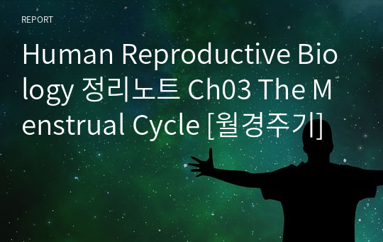 Human Reproductive Biology 정리노트 Ch03 The Menstrual Cycle [월경주기]