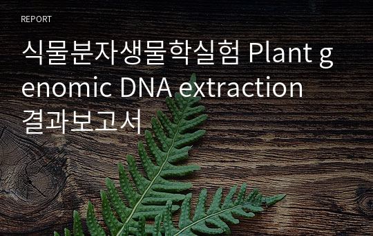 식물분자생물학실험 Plant genomic DNA extraction 결과보고서