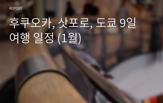 후쿠오카, 삿포로, 도쿄 9일 여행 일정 (1월)