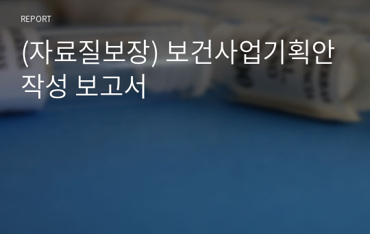 (자료질보장) 보건사업기획안작성 보고서