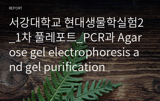 서강대학교 현대생물학실험2_1차 풀레포트_PCR과 Agarose gel electrophoresis and gel purification