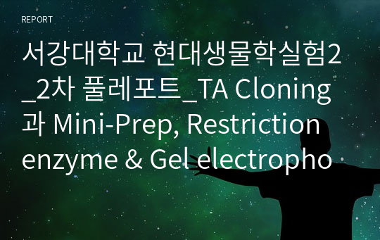 서강대학교 현대생물학실험2_2차 풀레포트_TA Cloning과 Mini-Prep, Restriction enzyme &amp; Gel electrophoresis