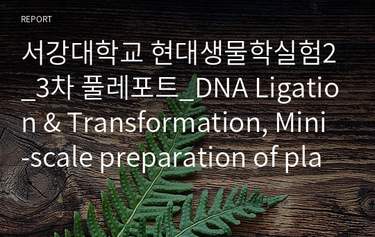 서강대학교 현대생물학실험2_3차 풀레포트_DNA Ligation &amp; Transformation, Mini-scale preparation of plasmid DNA Restriction enzyme &amp; Gel electrophoresis