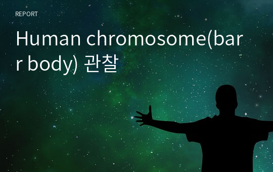 Human chromosome(barr body) 관찰