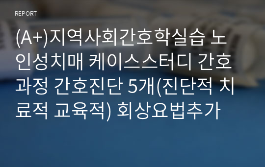 (A+)지역사회간호학실습 노인성치매 케이스스터디 간호과정 간호진단 5개(진단적 치료적 교육적) 회상요법추가