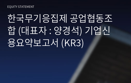 한국무기응집제 공업협동조합 기업신용요약보고서 (KR3)