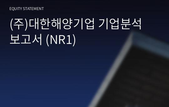 (주)대한해양기업 기업분석 보고서 (NR1)