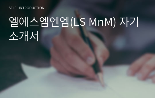 엘에스엠엔엠(LS MnM) 자기소개서