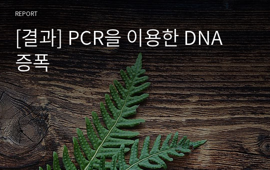 [결과] PCR을 이용한 DNA 증폭