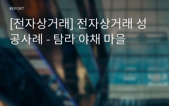 [전자상거래] 전자상거래 성공사례 - 탐라 야채 마을