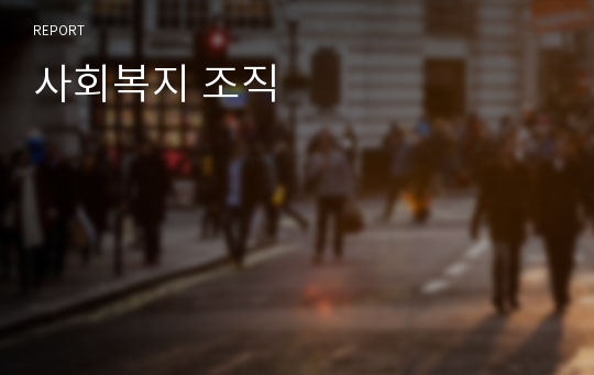 사회복지 조직