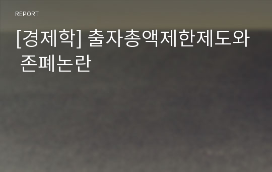 [경제학] 출자총액제한제도와 존폐논란