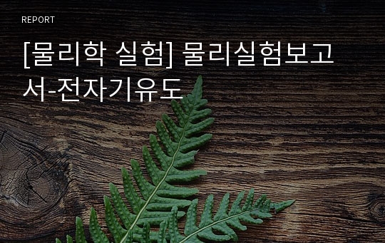 [물리학 실험] 물리실험보고서-전자기유도