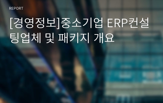 [경영정보]중소기업 ERP컨설팅업체 및 패키지 개요