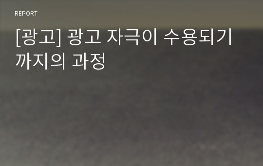 [광고] 광고 자극이 수용되기까지의 과정