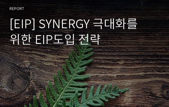 [EIP] SYNERGY 극대화를 위한 EIP도입 전략