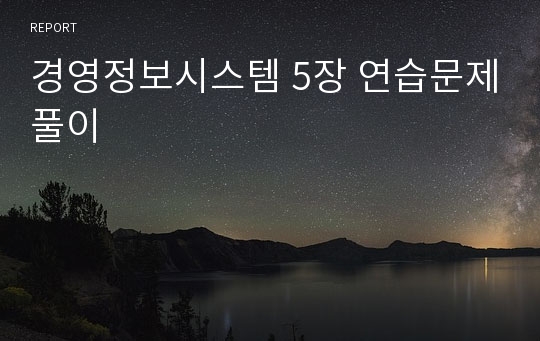 경영정보시스템 5장 연습문제풀이