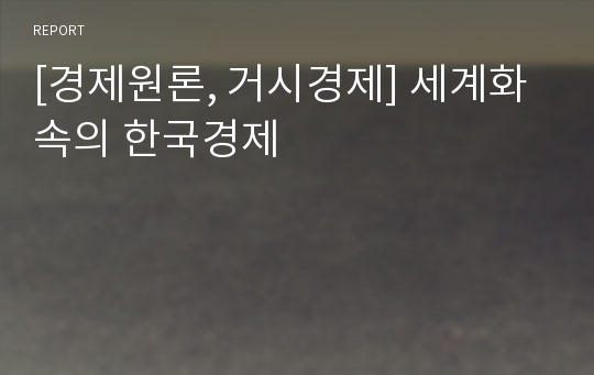 [경제원론, 거시경제] 세계화 속의 한국경제