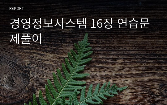 경영정보시스템 16장 연습문제풀이