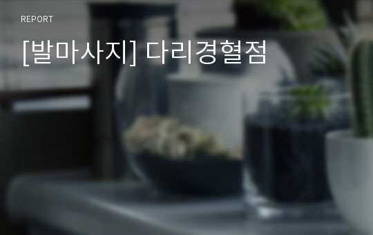 [발마사지] 다리경혈점