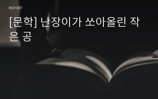 [문학] 난장이가 쏘아올린 작은 공