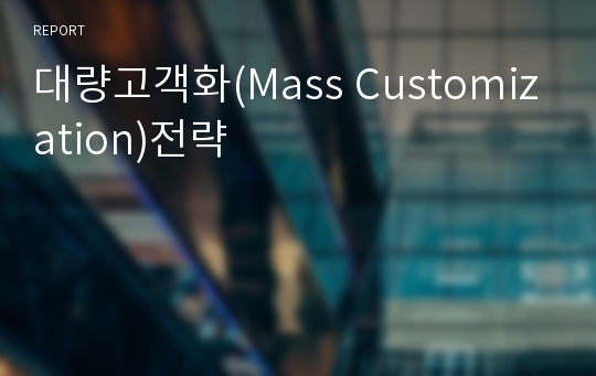 대량고객화(Mass Customization)전략