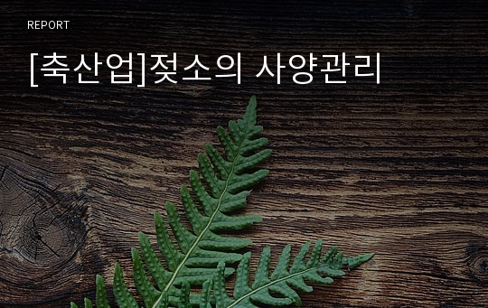 [축산업]젖소의 사양관리