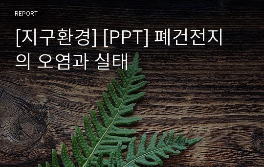 [지구환경] [PPT] 폐건전지의 오염과 실태