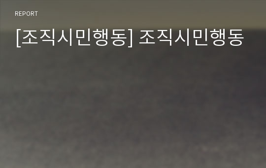 [조직시민행동] 조직시민행동