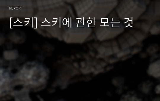 [스키] 스키에 관한 모든 것