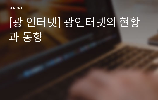 [광 인터넷] 광인터넷의 현황과 동향