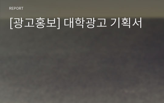 [광고홍보] 대학광고 기획서