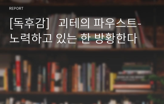 [독후감]   괴테의 파우스트-노력하고 있는 한 방황한다