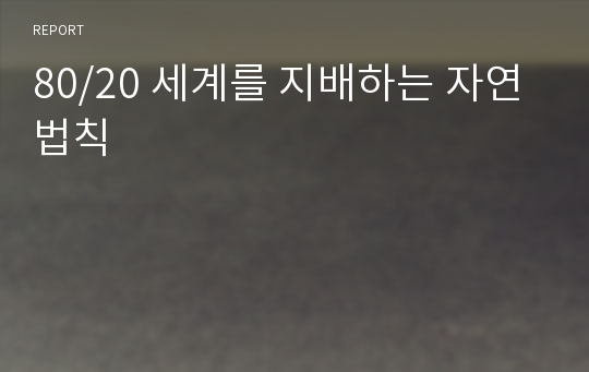 80/20 세계를 지배하는 자연법칙